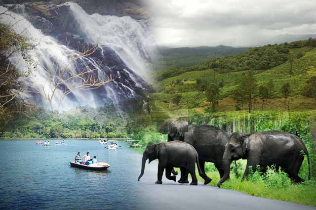 11-best-places-to-visit-in-wayanad-on-your-next-trip-20170407041139